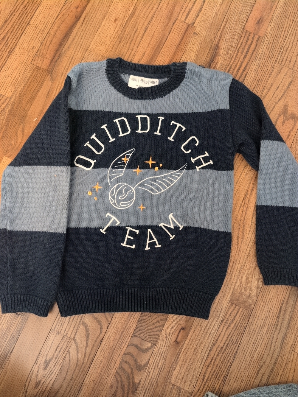 Harry Potter Quidditch Team Striped Crewneck Sweater - Navy & Light Blue